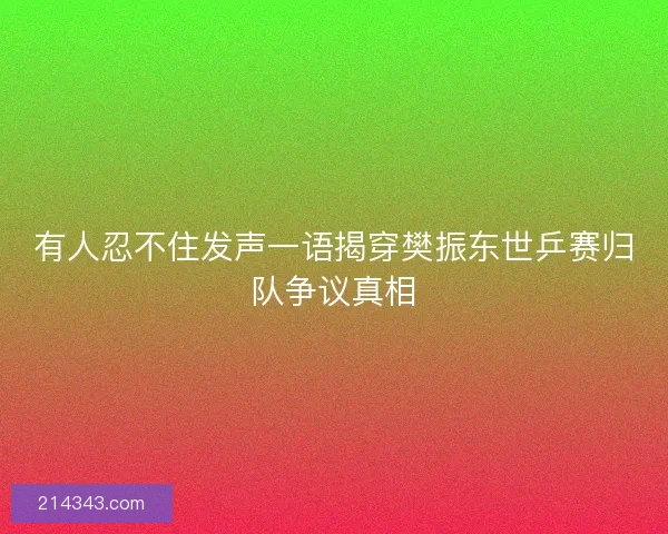 有人忍不住发声一语揭穿樊振东世乒赛归队争议真相