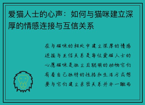爱猫人士的心声：如何与猫咪建立深厚的情感连接与互信关系